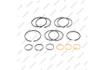 Комплект уплотнительных колец (14шт.)