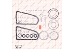 Комплект прокладок и сальников (с уплотнительными кольцами и фильтром картриджем)*