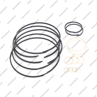 Комплект уплотнительных колец (16шт.)*