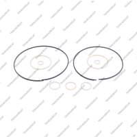 Комплект уплотнительных колец (9шт.)