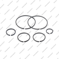 Комплект уплотнительных колец (6шт.)*